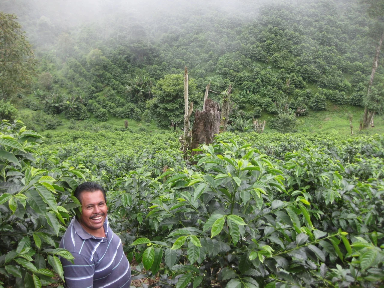 Farm Profile: Flor de la Peña