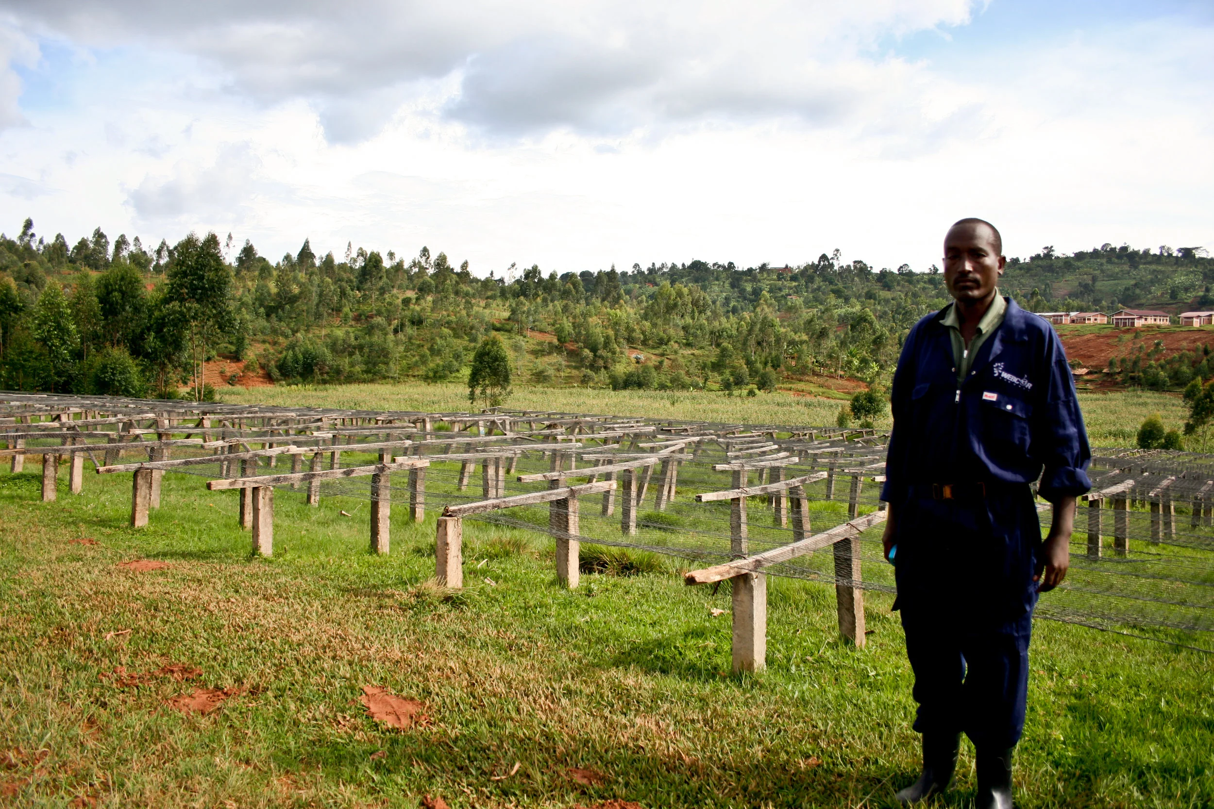 Washing Station Profile: Nemba