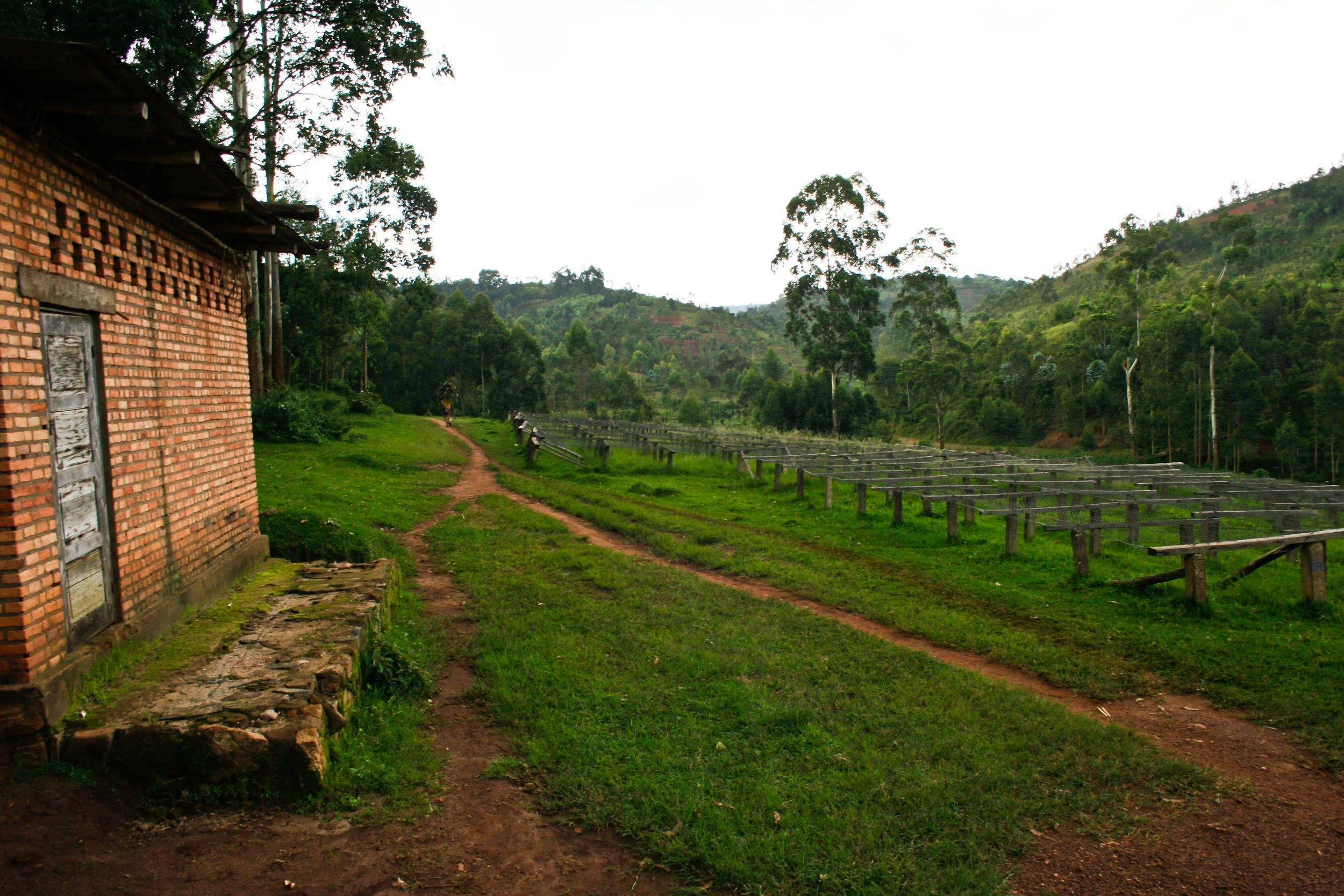 Washing Station Profile: Masha