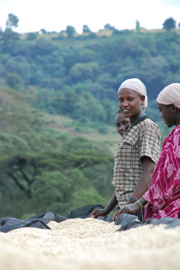 Ethiopia Trip, November 2012 (video)