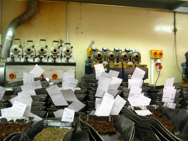 Update from Nairobi, Kenya - February 2013