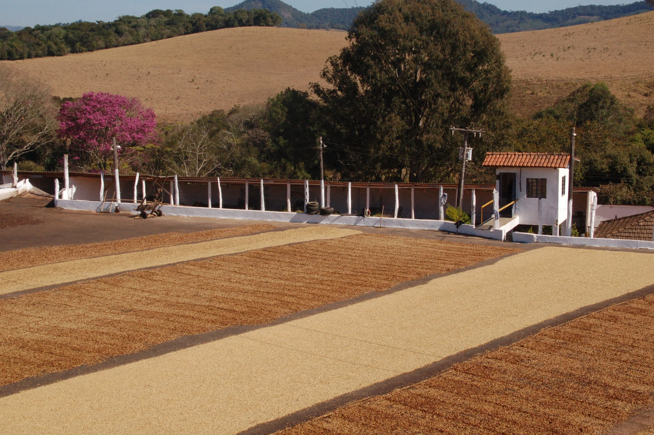 Farm Profile: Fazenda Santa Lúcia