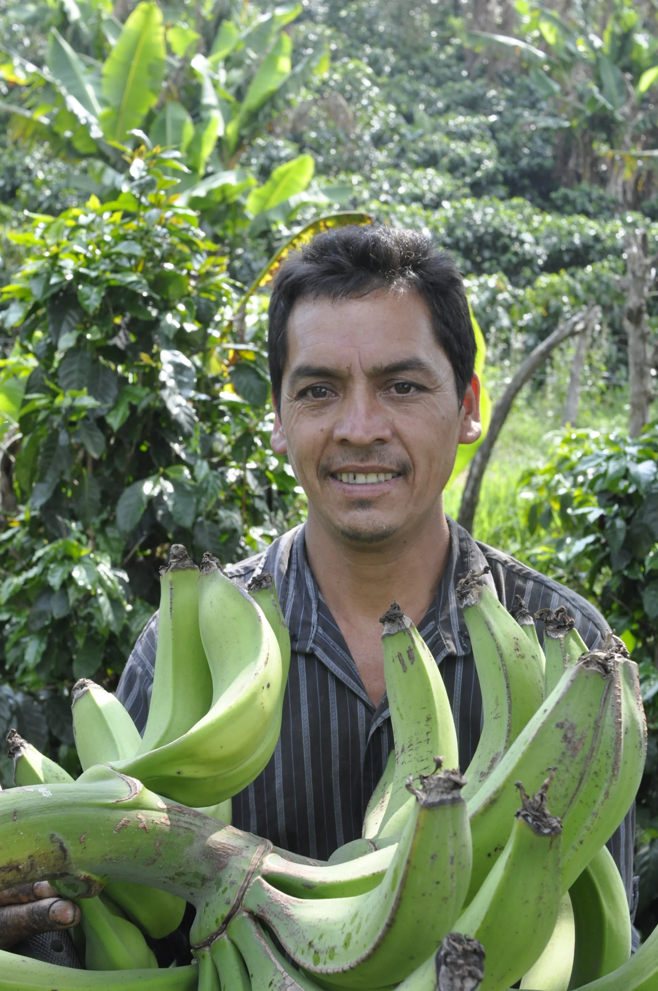 Farm Profile: Santa Maria