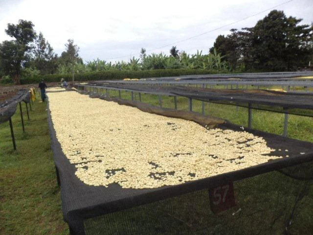 Factory Profile: Kagumo