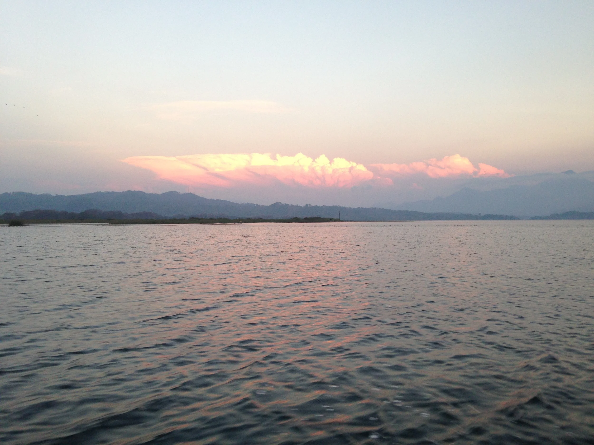 Early-Harvest Visit to Honduras, January 2014