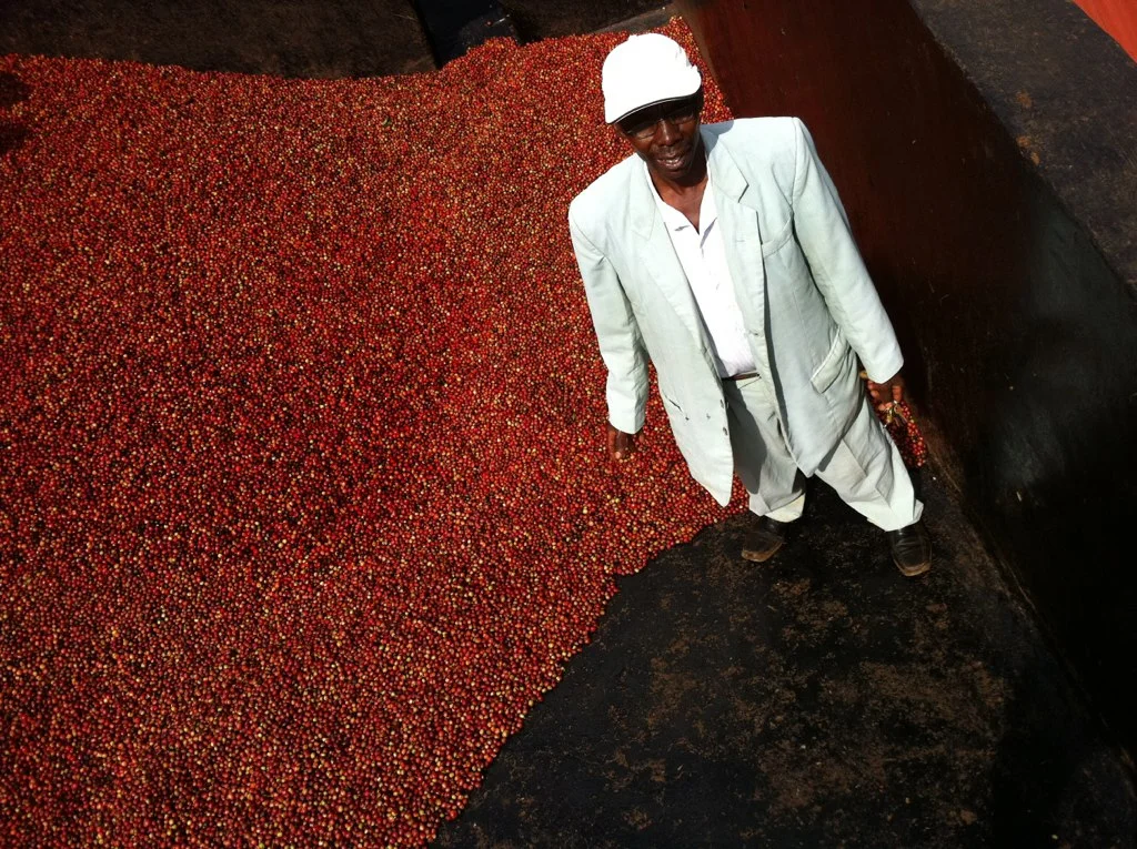 Factory Profile: Kaiguri