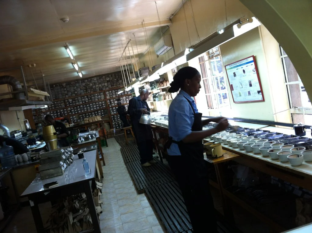 Factory Profile: Karinga