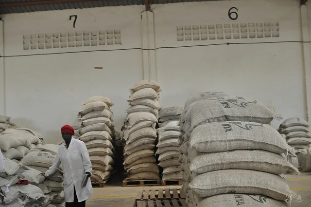 Kenya: The Final (for now) Word