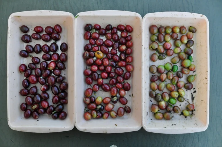 Colombia: A Clash of Mindsets