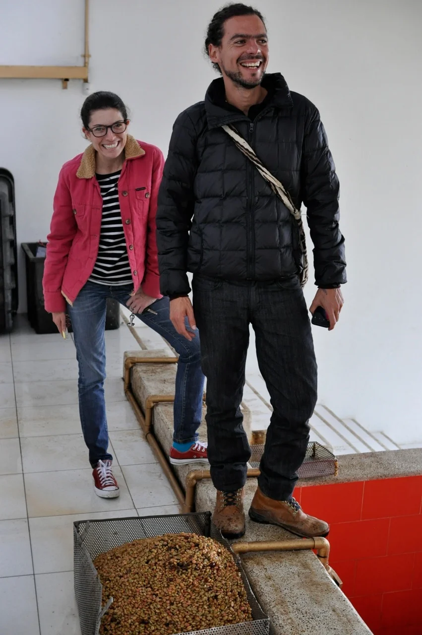 The New Colombia: Specialty Coffee Driven by the People