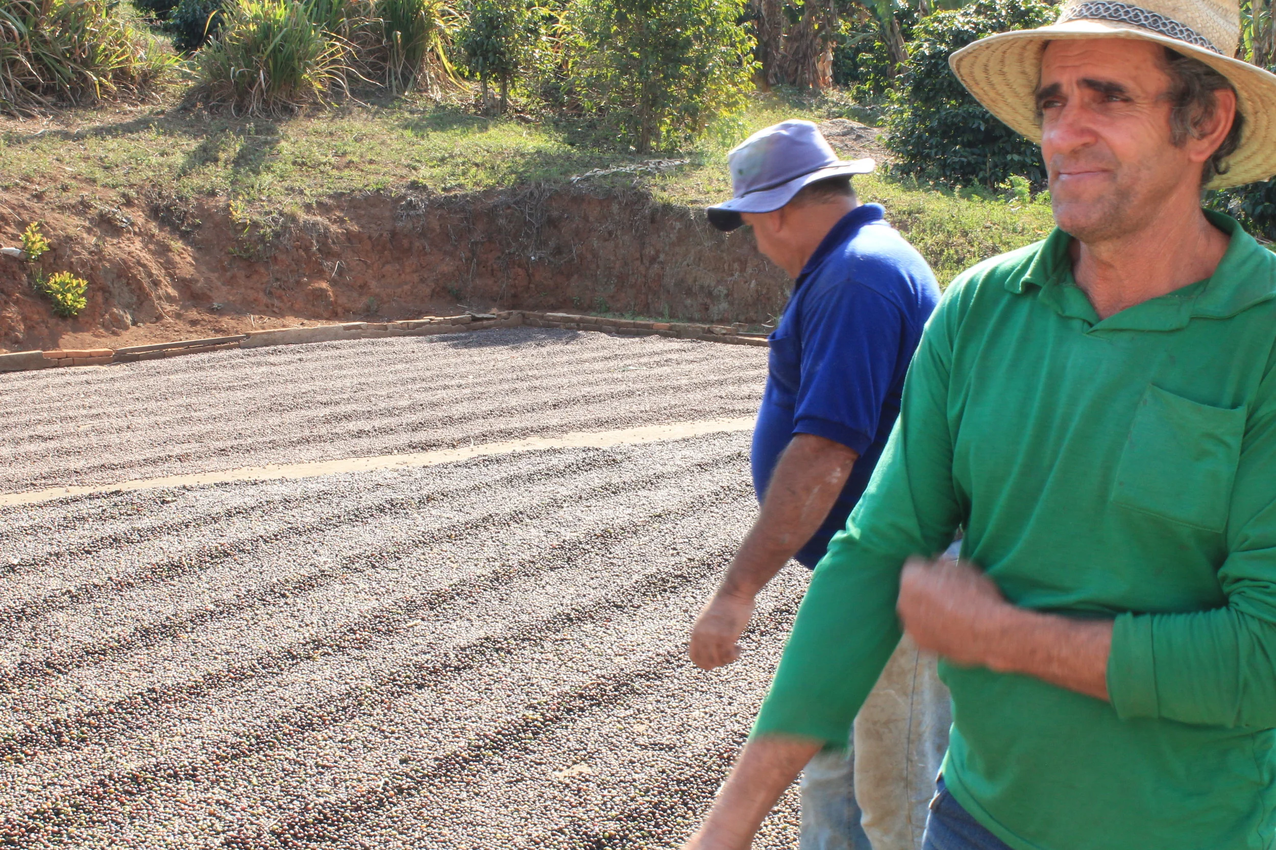 Farm Profile: Sitio Fernandes