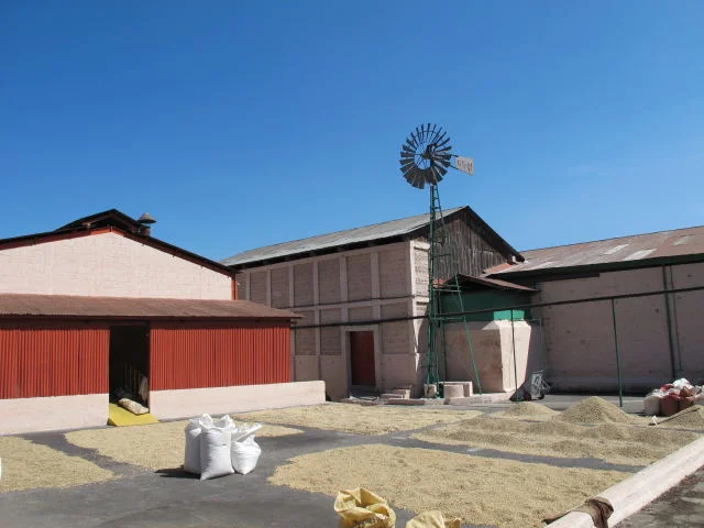 Incoming Coffees from Bella Vista