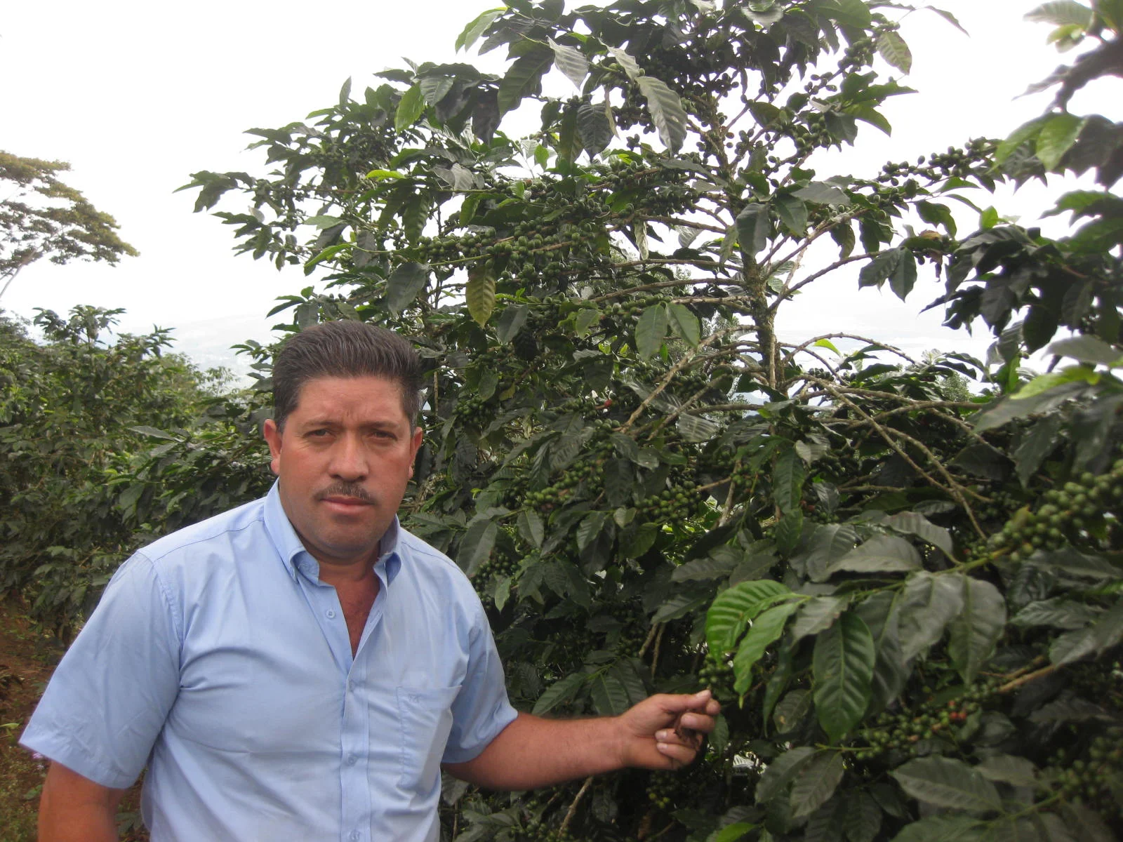 miguelmoreno.jpg