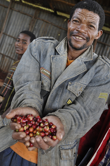 2013-farmer_cherries.jpg