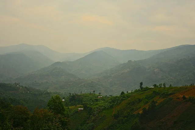 The Inevitable Chaos that is Burundi Coffee Buying