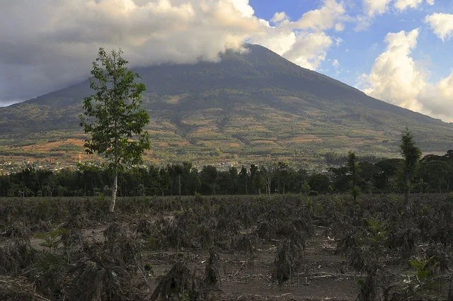 Farm Profile: Potrero