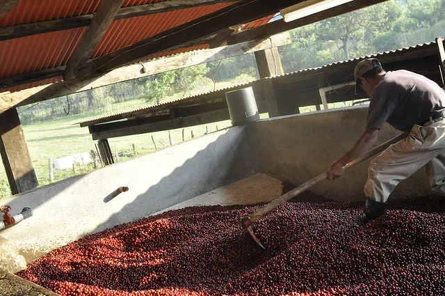 Farm Profile: Bella Carmona