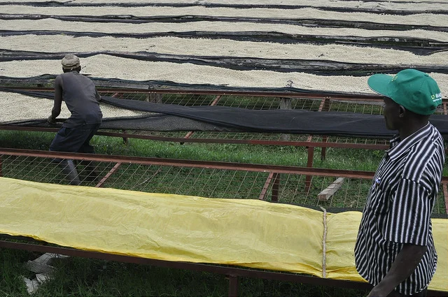 Factory Profile:  Kagumoini