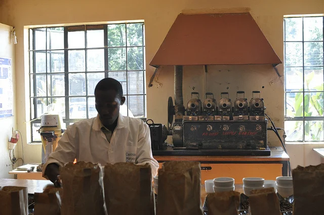 Factory Profile: Gachatha