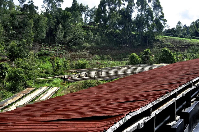 Factory Profile: Kiamabara