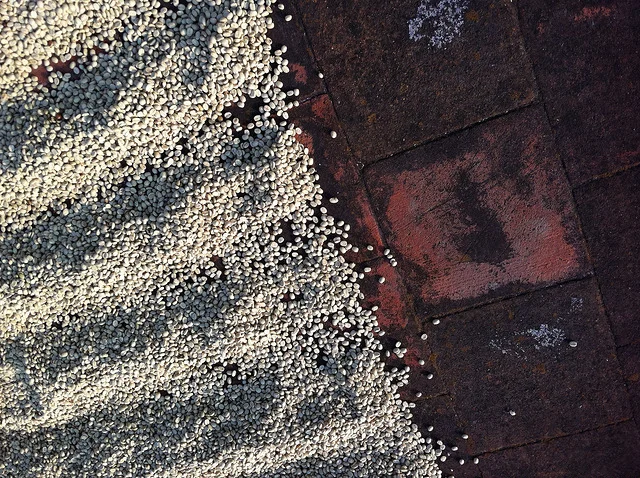 Factory Profile:  Muthwewathi