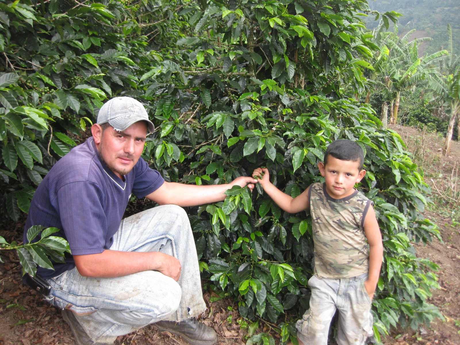 Farmer Profile: Amado Fernandez