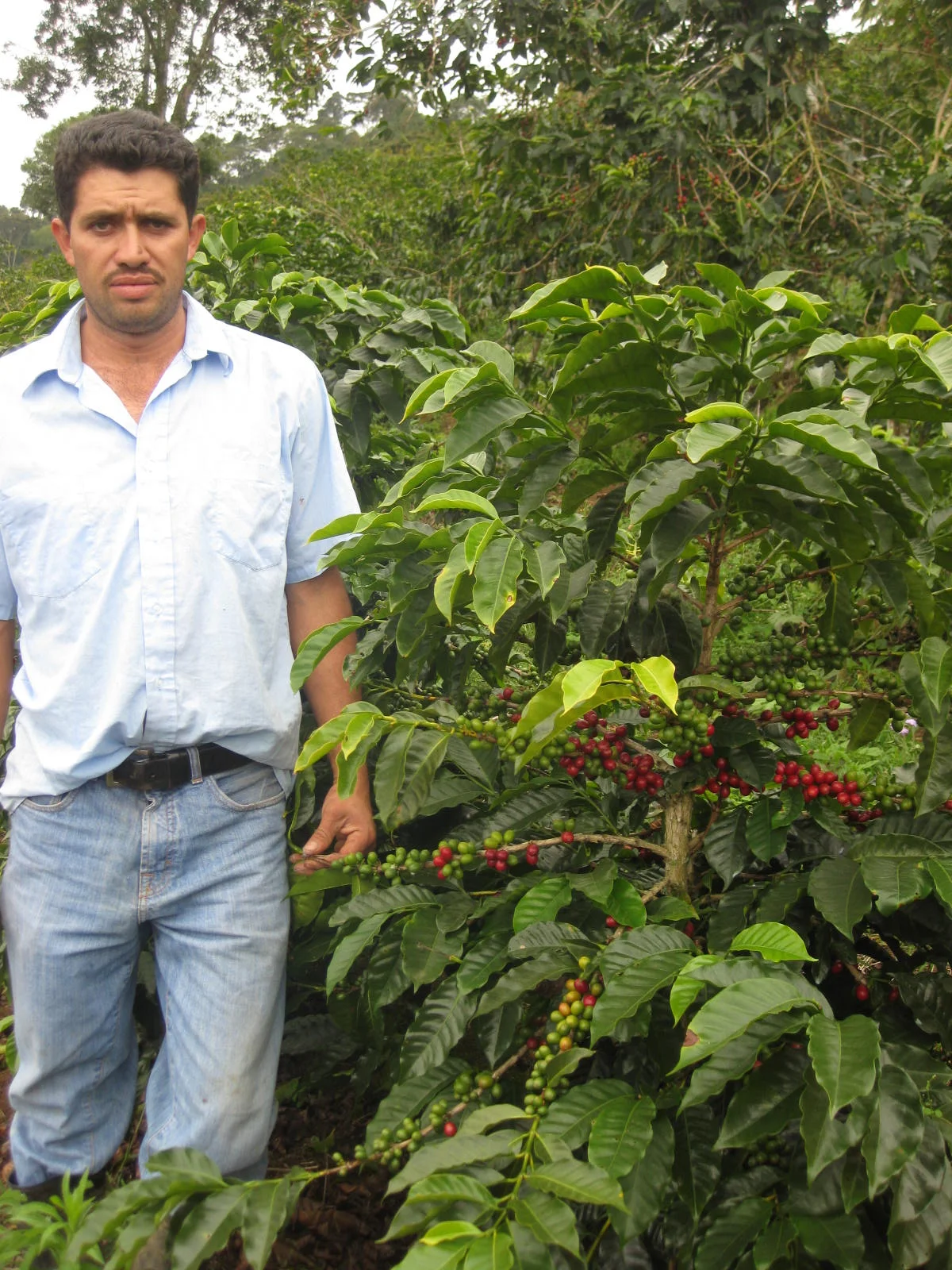 Farmer Profile:  Mario Moreno