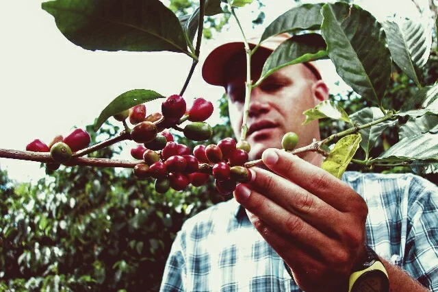 Producer Profile: Daniel Peterson, Hacienda La Esmeralda