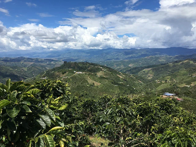 What Makes a Great Origin Partner?