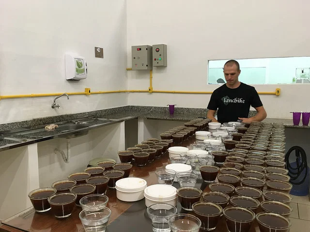 Origin Report: Brazil 2016