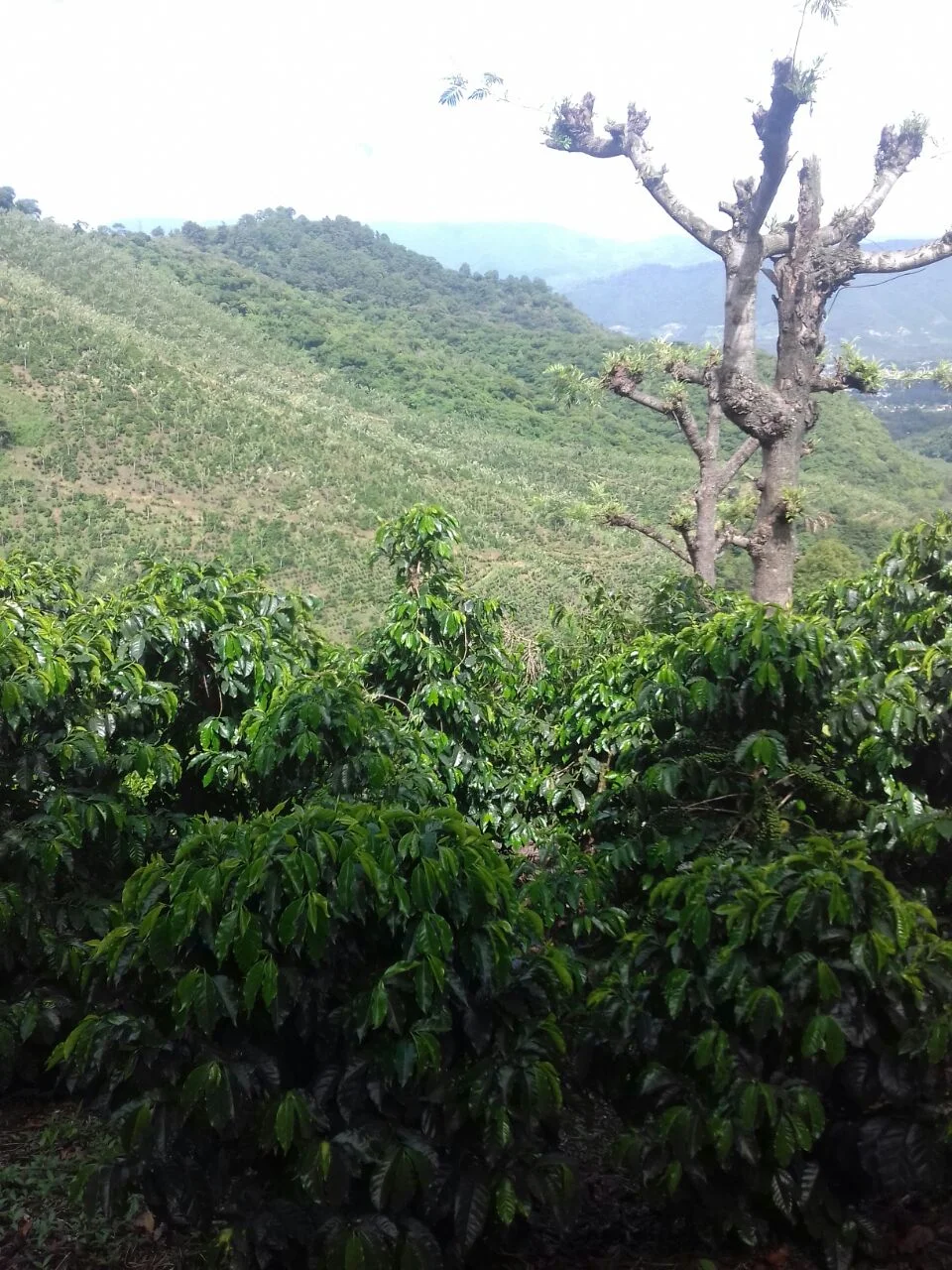 Farm Profile: San Juan