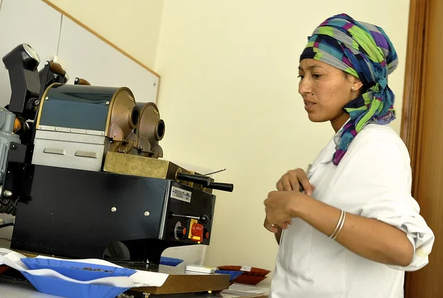 The Longevity of Ethiopian Coffees