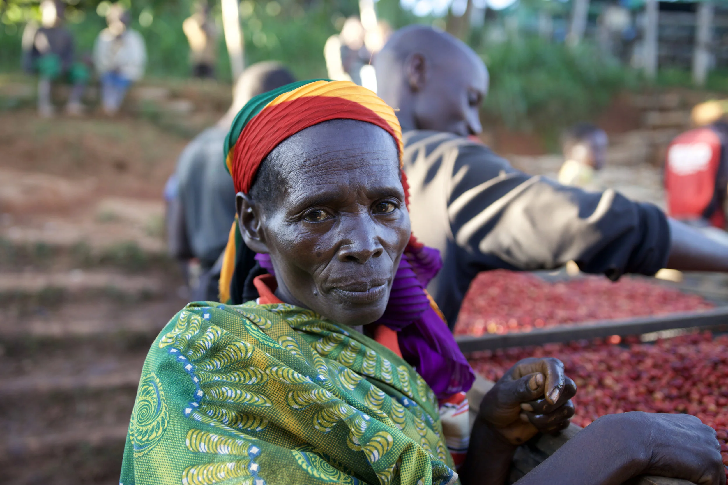 Burundi 2017 Harvest Shipping Soon