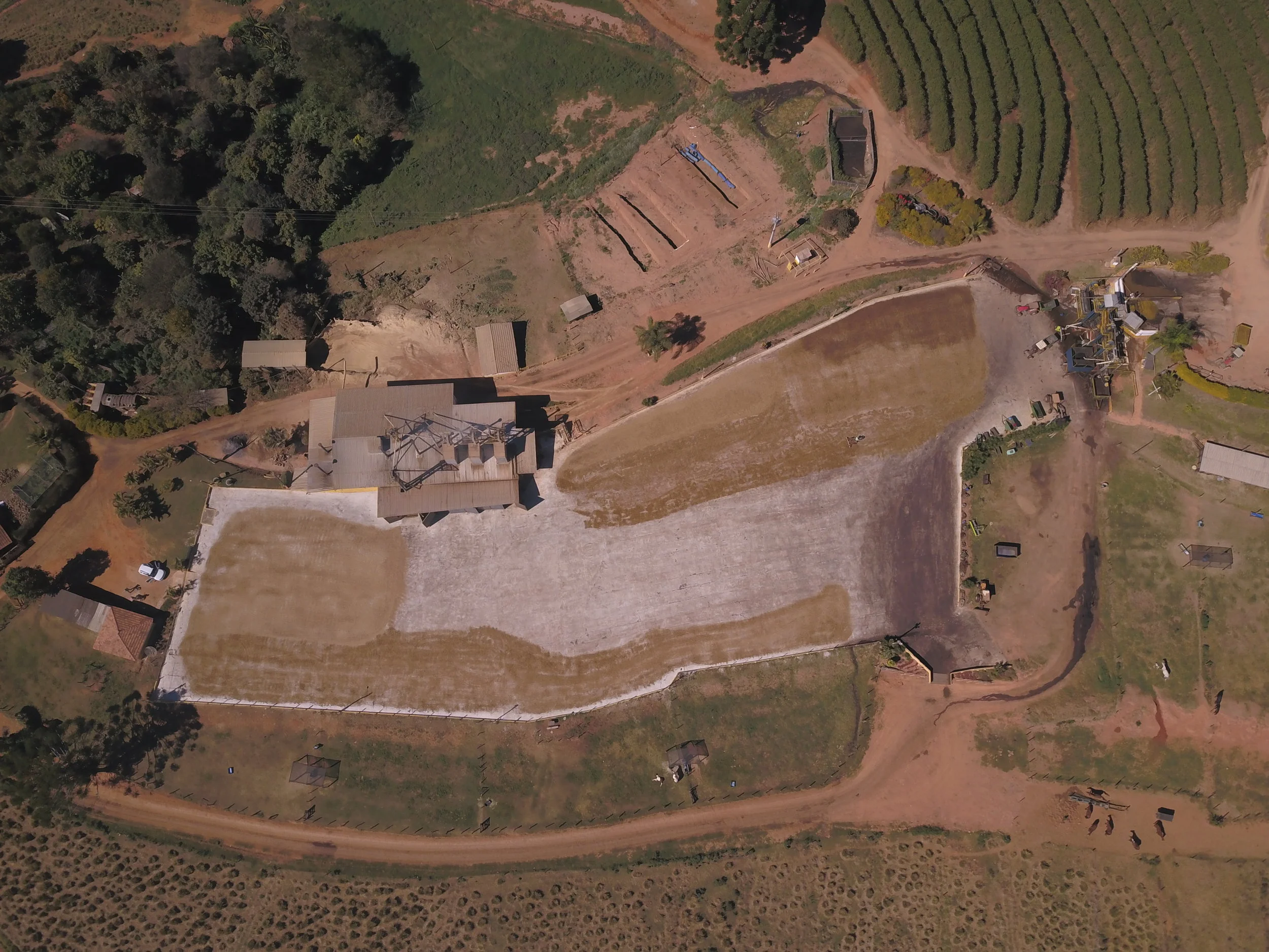 Brazilian quality Innovations