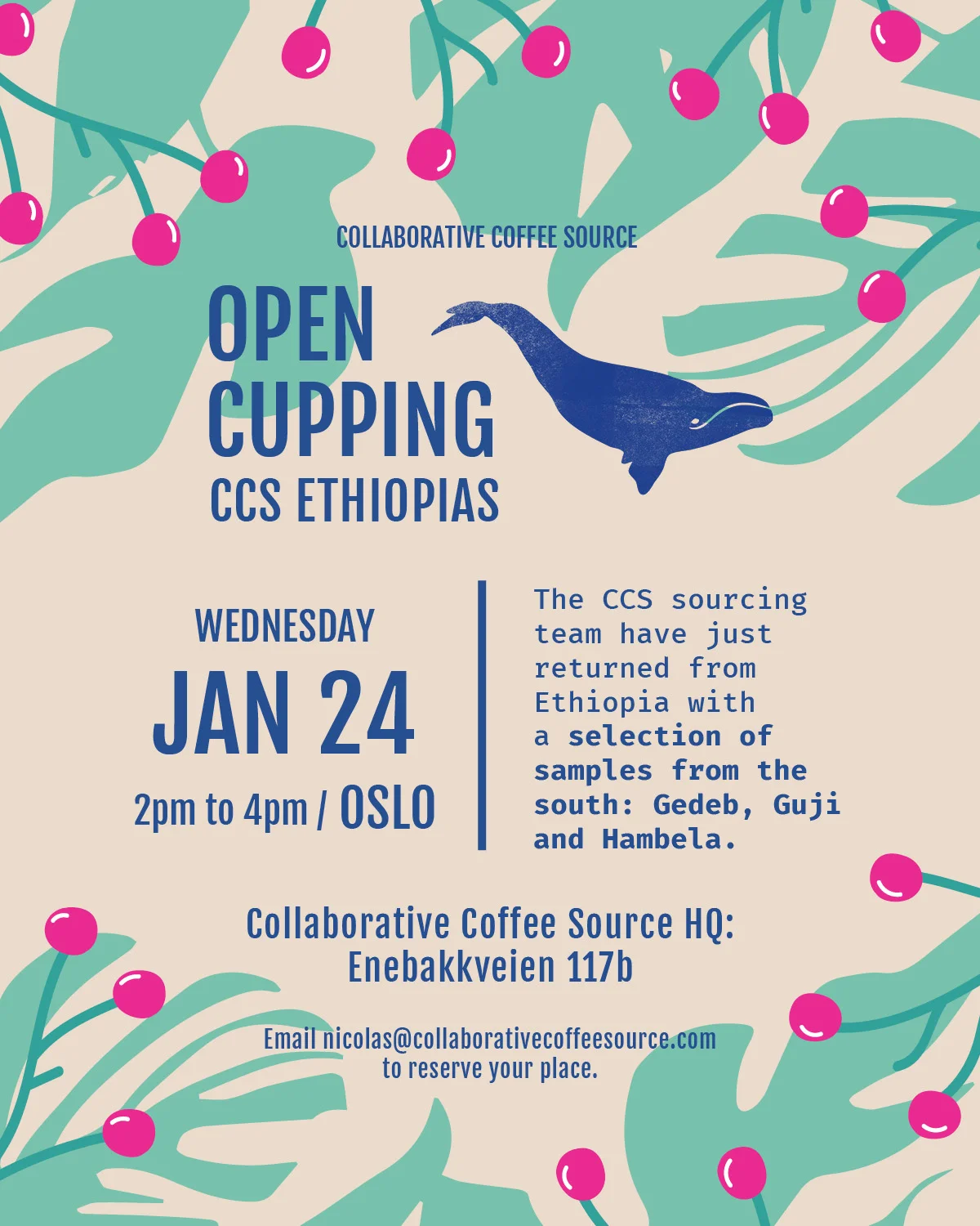 Open Cupping - CCS Ethiopias