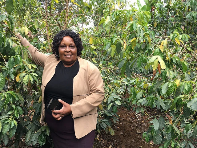 Mary Maina, Manyeki Estate