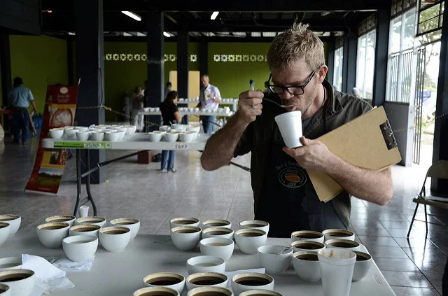 The Best of Panama Auction has been instrumental in empowering Panama coffee farmers in setting great benchmark prices for their lots