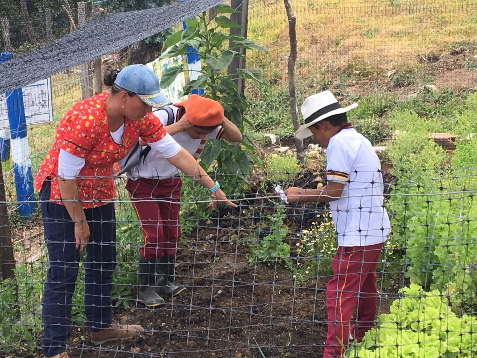 Children tending to their vegetable garden beside the school on Antonio Saavedra's farm in Tolima, Colombia