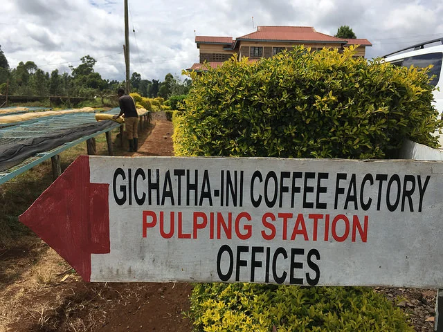 Gichatha-Ini