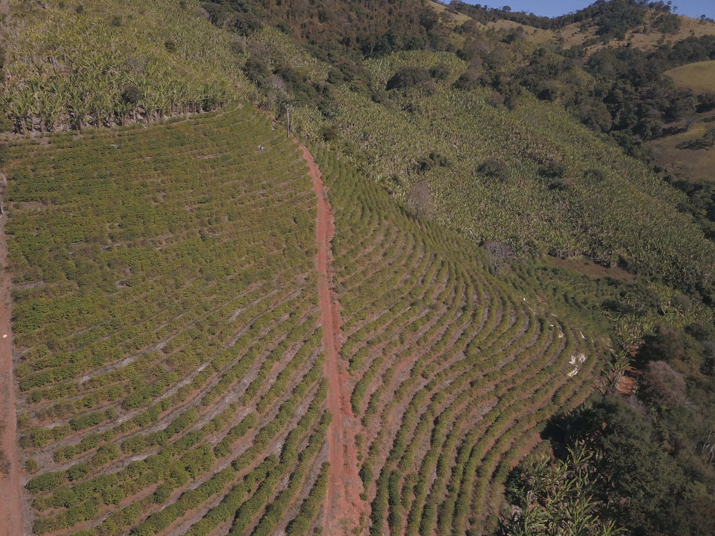 pinheirinho-farm.jpg