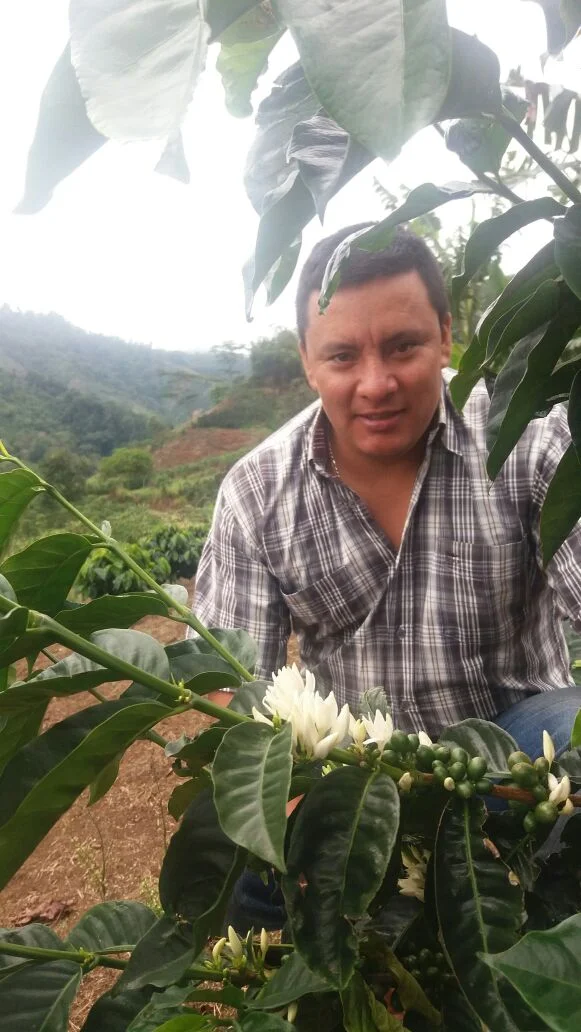 Fernando Bustos