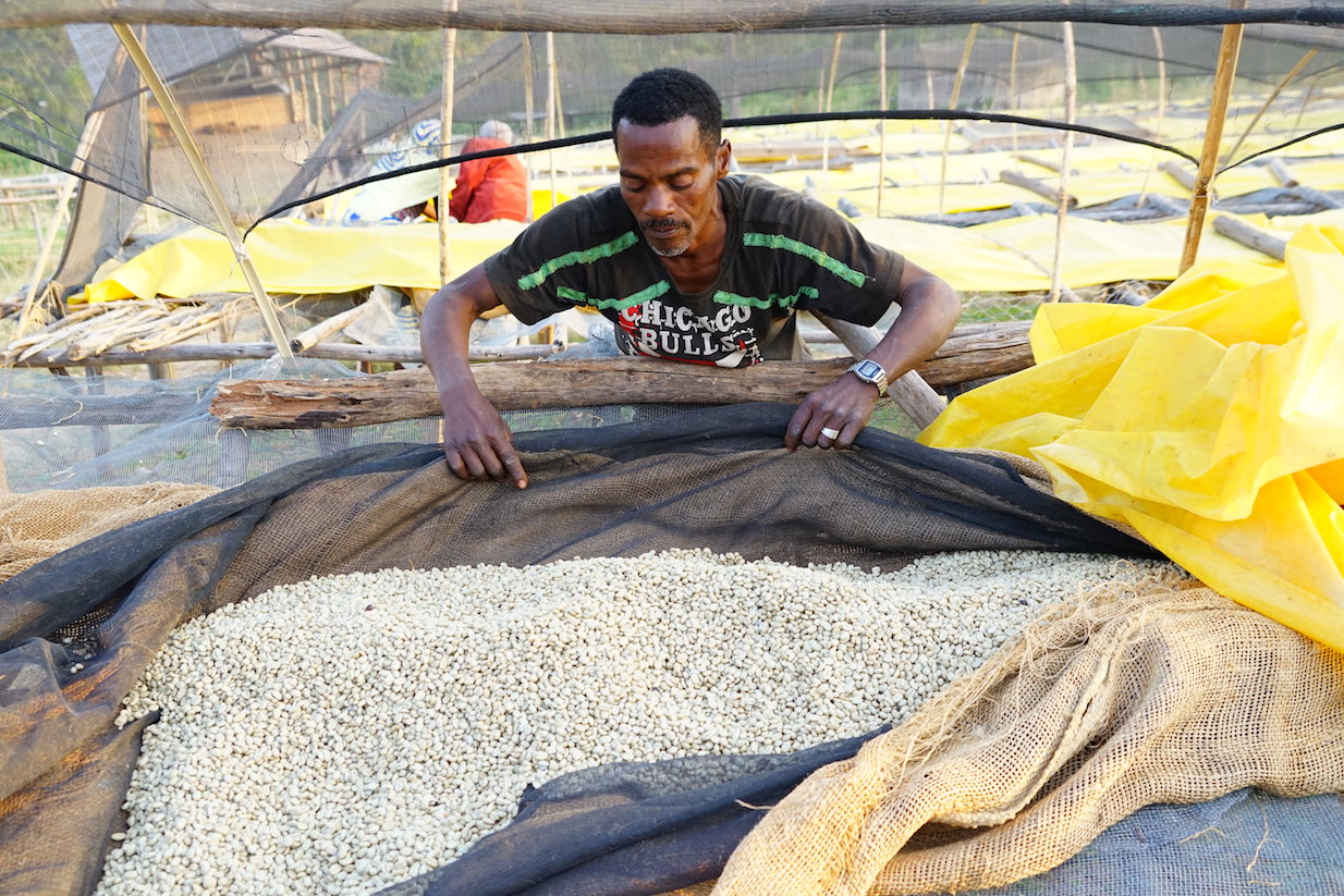  Azrae , Guard at the Korate Washing Station, Sidamo, Dilla Zone 