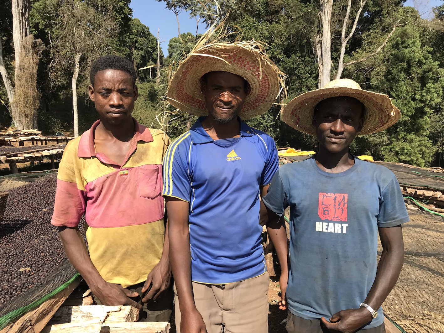  Tesema, Hadji, Goye &nbsp;- coffee sorters for naturals 