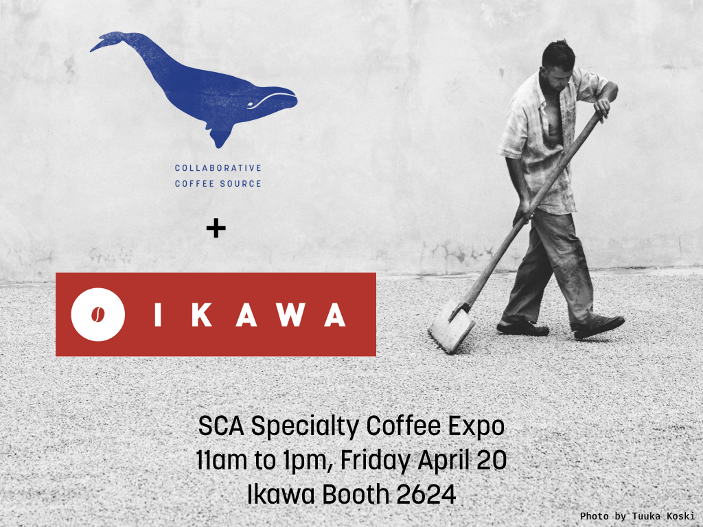 Ikawa x CCS SCA FINAL.001.jpeg
