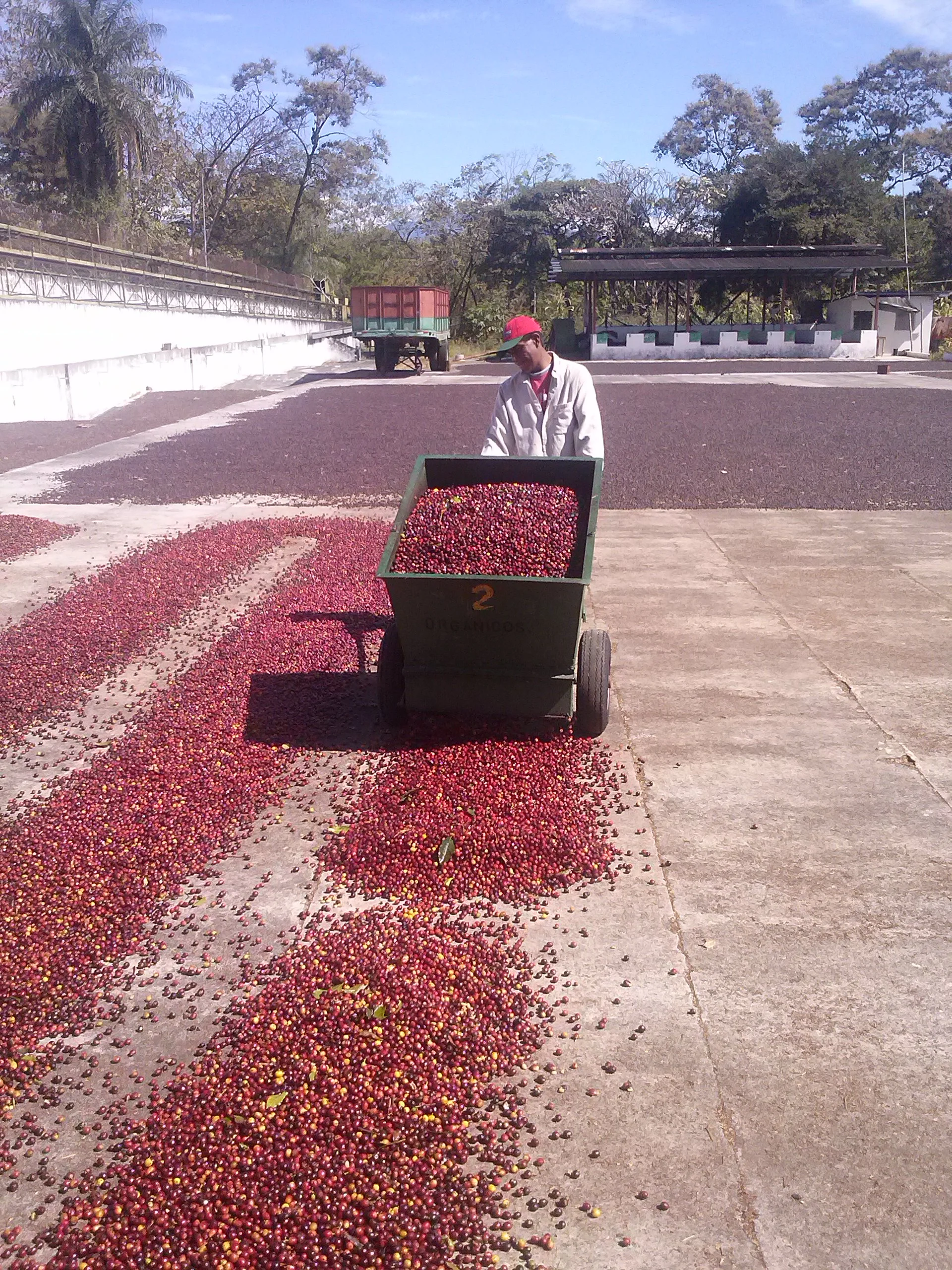 natural drying.jpg