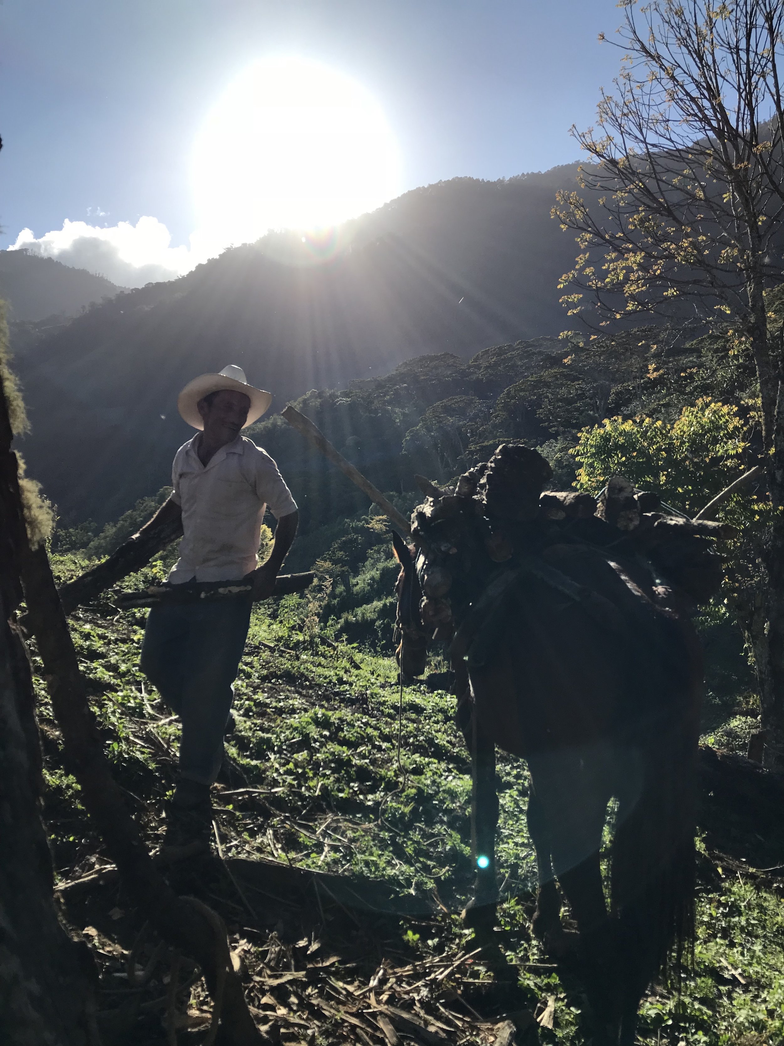 The Morenos' new farm: Piedras Amarillas