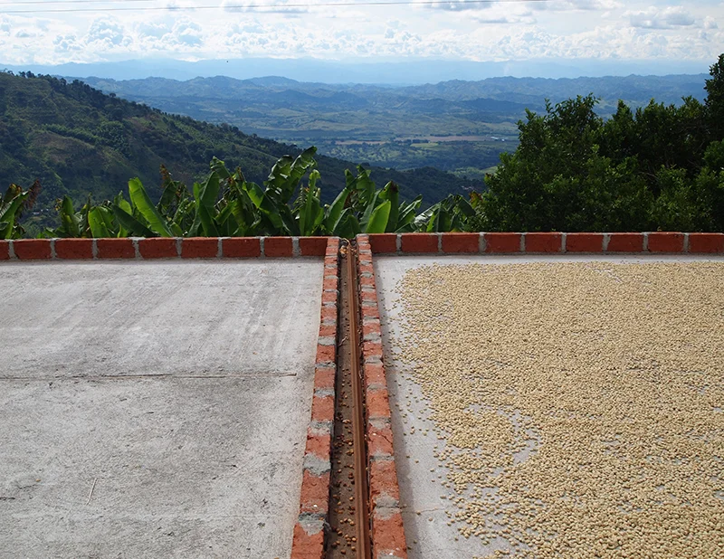 Valle De Cauca Origin Update