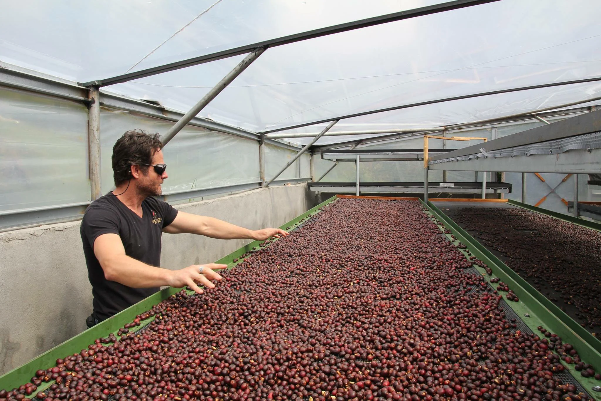 Jamison Savage and his three-tiered drying beds, Finca Deborah, Panama