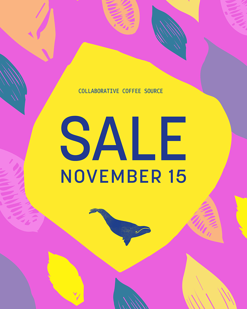 CCS SALE