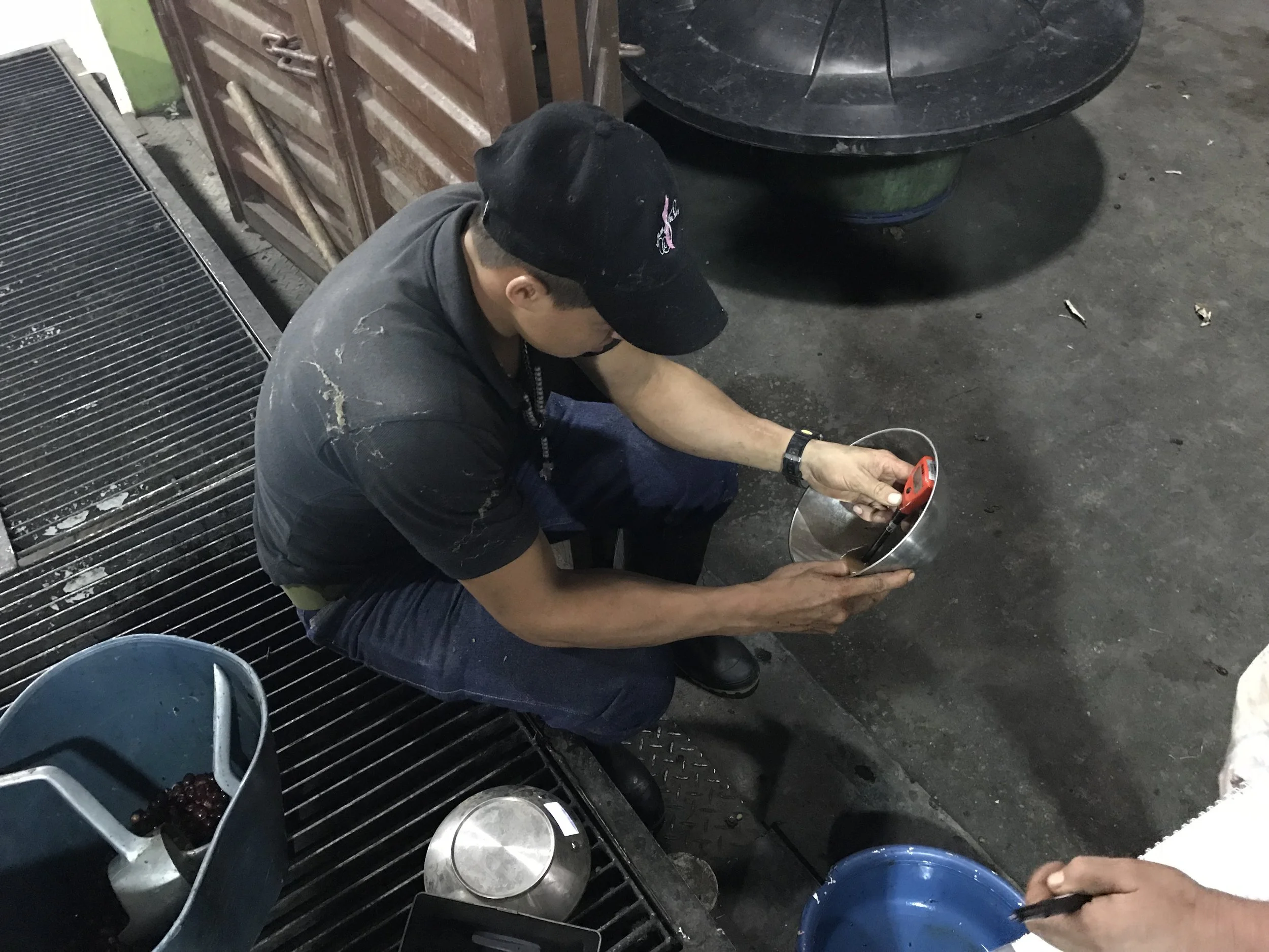 Checking the pH of the lots.